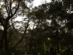 -沙河粉村·国家非遗传承(云台店)