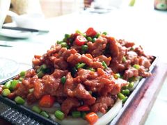 -鱼翅楼·津派砂锅鱼翅(水上公园店)