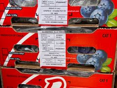 -堤口果品批发市场