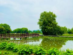 -白塔湖国家湿地公园