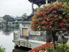 -荔湾湖公园