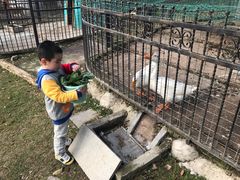 -上海滴水湖皇冠假日酒店