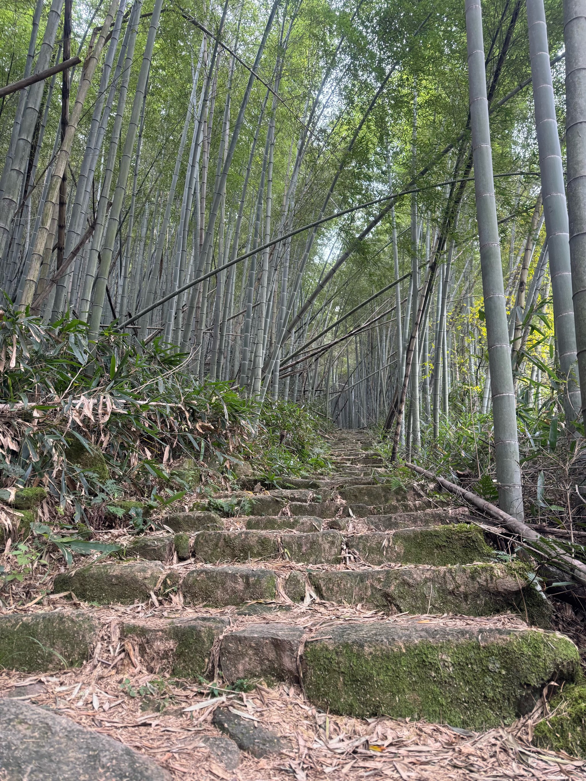 诸葛仙山图片