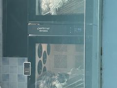 -老吴的猫·猫舍(新区店)