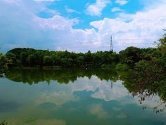 -梁鸿国家湿地公园