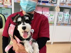 -宠颐生中康贝怡动物医院