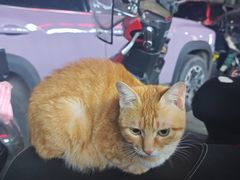 -欢乐迪KTV(观音桥未来国际店)