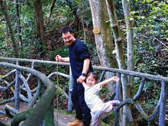 -龙湾潭国家森林公园