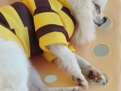 -怪兽屋·羊驼·猫咖·狗咖(俊华广场店)