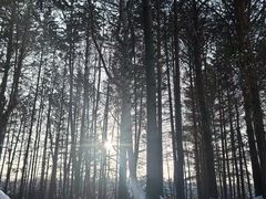 -北极村旅游风景区