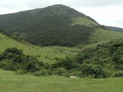 -大姆山草场