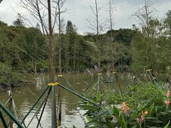 -海珠湖公园
