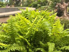 -石家庄市植物园