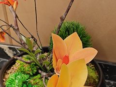 -普天和酒楼(天津之眼店)