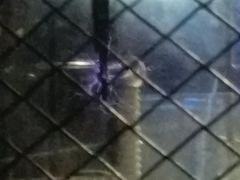 -陕西科学技术馆