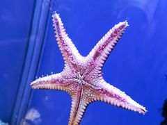 -海合安武汉极地海洋公园