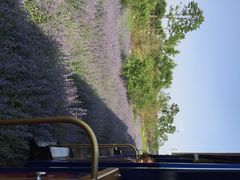 iphone_upload_pic-永定河休闲森林公园