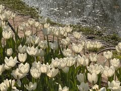 -玄武湖景区-情侣园游乐场