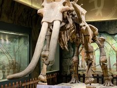 -白帝城·瞿塘峡景区