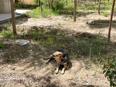 -克孜尔尕哈烽燧世界文化遗产公园