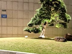 -广州花园酒店