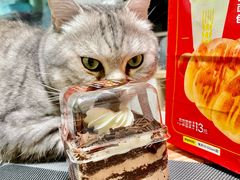 -味多美蛋糕(古城店)