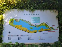 -华侨城湿地公园