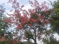 -厦门国家会计学院