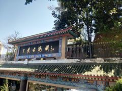 -三峡古玩城(泰古广场店)