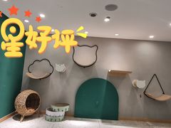 -飞行喵MR PILOT|猫舍·猫咖(静安大融城店)