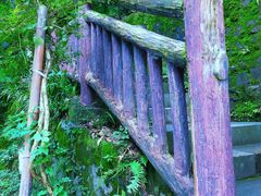 景点-重庆平顶山公园