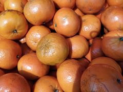 -红星农博物流中心