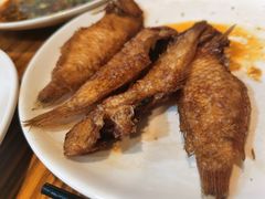 马头鱼-潮粥馆(长江花园店)