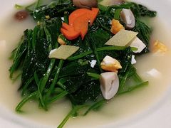 上汤菠菜-维园悦谱·海派家常菜(乌鲁木齐南路店)