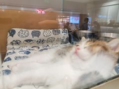-成都你六姐·牛肉冒菜·麻辣香锅(长泰广场店)
