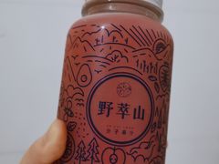 -野萃山·潮汕厚果汁(十亩地店)