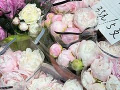 -循礼门鲜花花市(武汉循礼门店)
