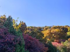 -北京西山国家森林公园