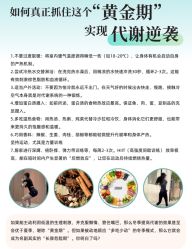 -Fundi张玉珊修身堂·indiba·BTL科技瘦身