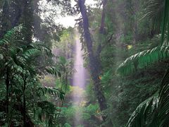 -青青世界