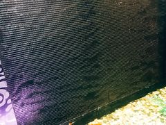 -金太阳海鲜烧烤·本地人餐厅(东纬路旗舰店)