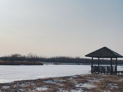 -西青郊野公园