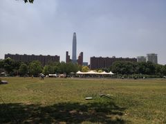 -泰丰公园