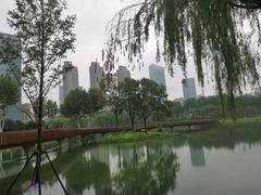 -后襄河公园