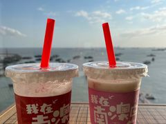 -南澳岛打卡果汁冰公司