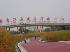 -西安浐灞国家湿地公园