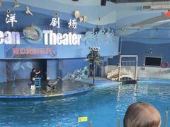 -苏州海洋馆