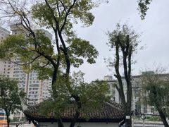 -阳明祠