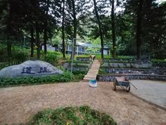 -银湖山郊野公园-相思林