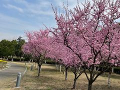 -白塘生态植物园
